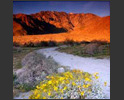 palm-springs-desert-scenic